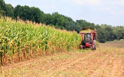 7 Essential Tractor Parts Every Farmer Should Keep on Hand